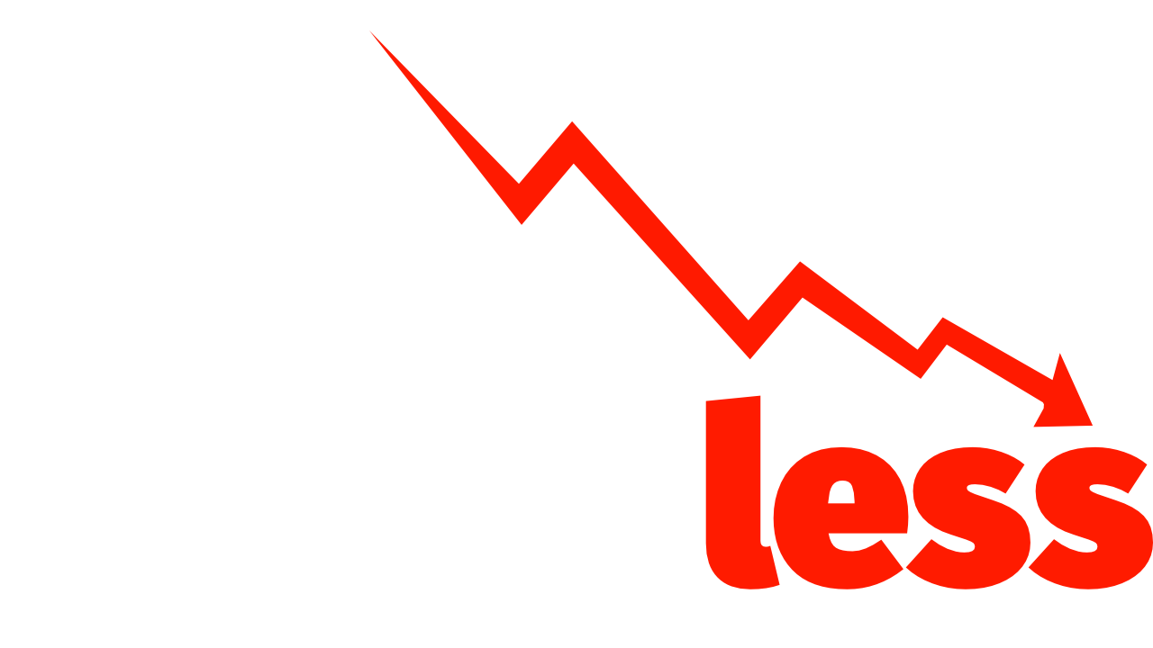 Net Worthless logo wordmark on transparent background